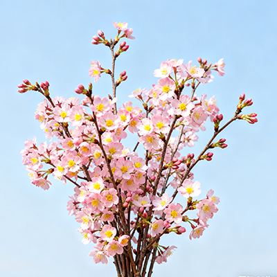 《雨后插束小茉莉，让潮湿空气飘满香》