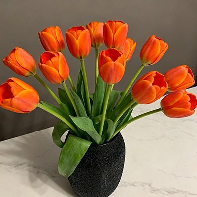 《周末整理插束鸢尾，给宅家时光充充电》